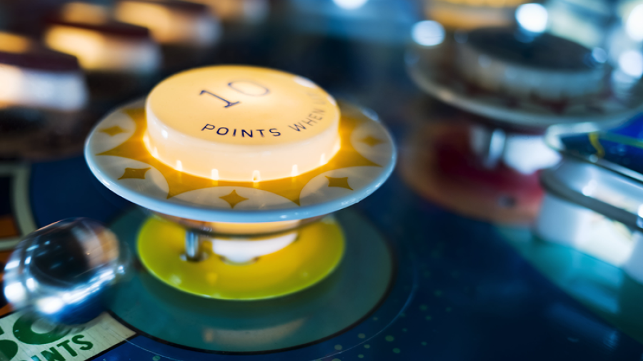 the-amazon-pinball-machine