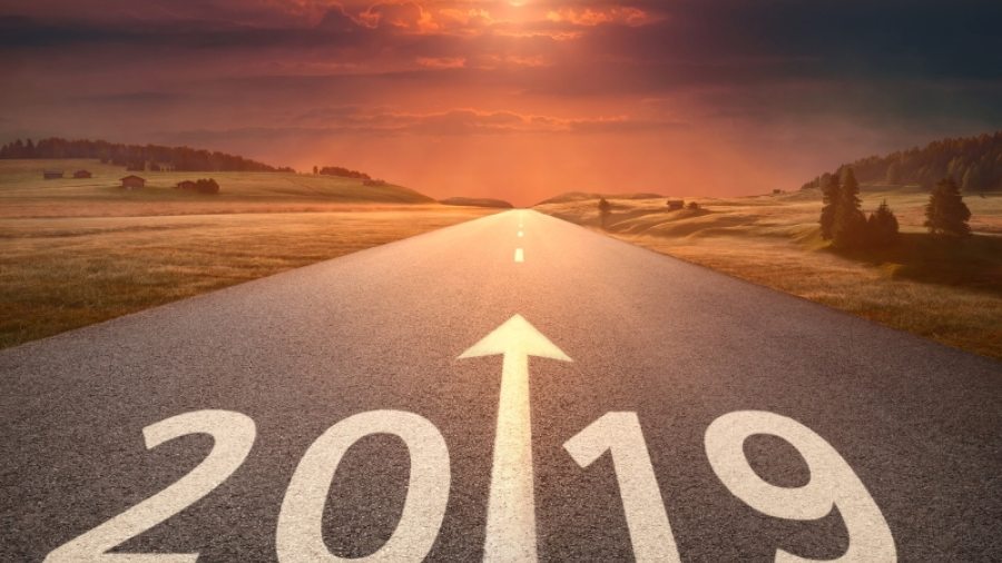 Photograph of pathway with "2019" below and an arrow pointing forward