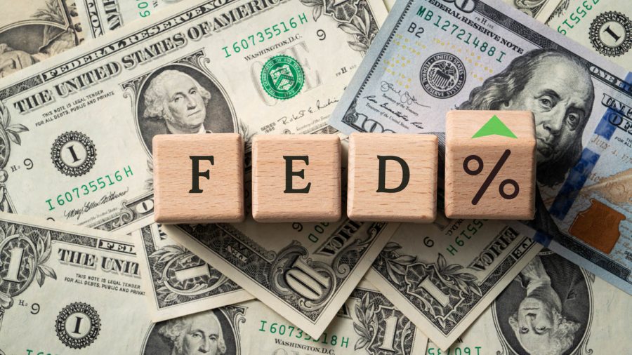 Money and Fed blocks