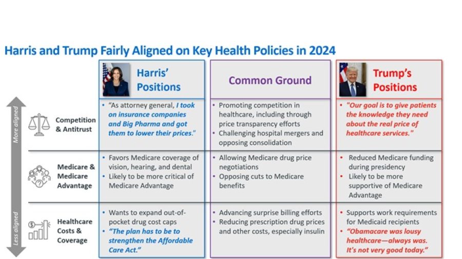 **** GRAPHIC OF THE WEEK A key insight illustrated in infographic form.  Health policy in a non-healthcare-centric election graphic