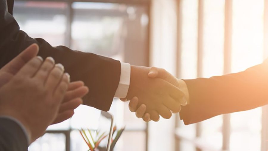 Consultants shaking hands