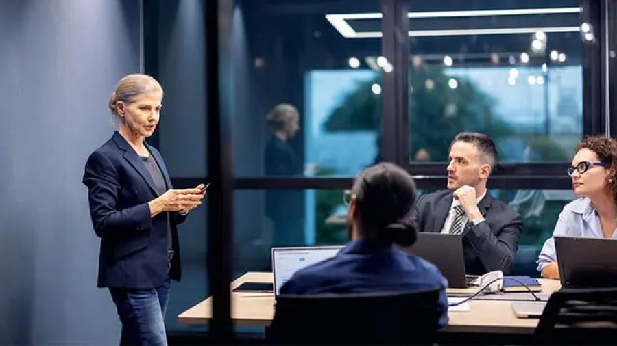 Consultants in a meeting
