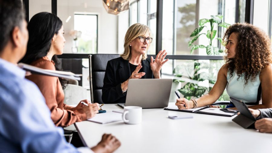 Healthcare consultants in a meeting