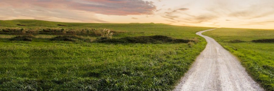 Path to rural healthcare