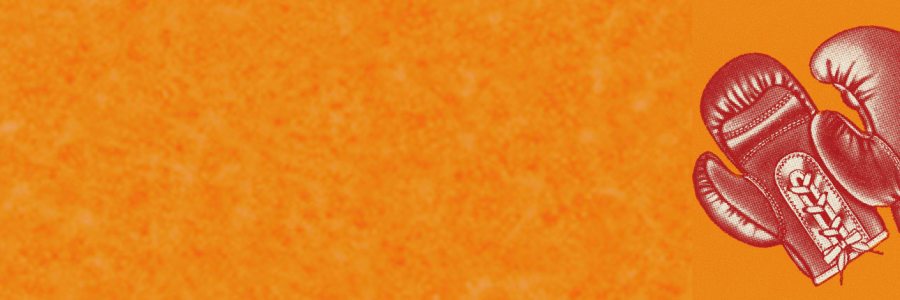 Illustration of boxing gloves