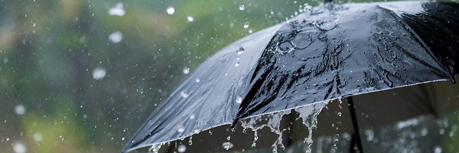 Umbrella in the rain